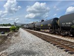 CBTX 739635